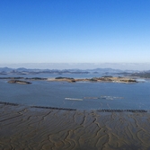 안좌 상사치도 하사치도