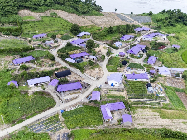 안좌면 박지도 2