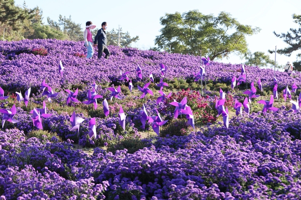 안좌면 아스타 2