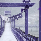 안좌면 눈 오는 날 퍼플섬 001