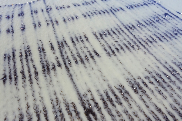 안좌면 구대리 태양광 발전소 4