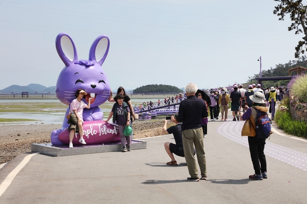 안좌며 퍼플섬 힐링걷기대회 001 5