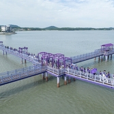 안좌면 미스코리아 퍼플섬 방문