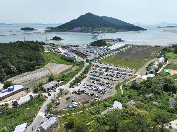 안좌면 퍼플섬 라벤더 004 2