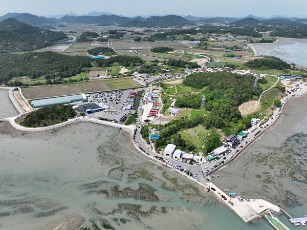 안좌면 퍼플섬 라벤더 004 3