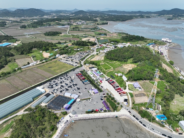 안좌면 퍼플섬 라벤더 004 4