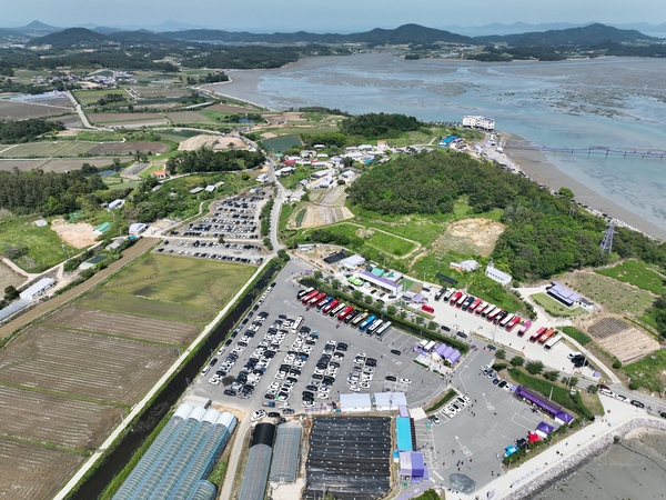 안좌면 퍼플섬 라벤더 004 5