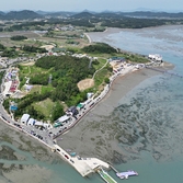 안좌면 퍼플섬 라벤더 004