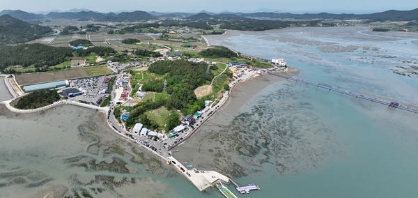 안좌면 퍼플섬 라벤더 004 1