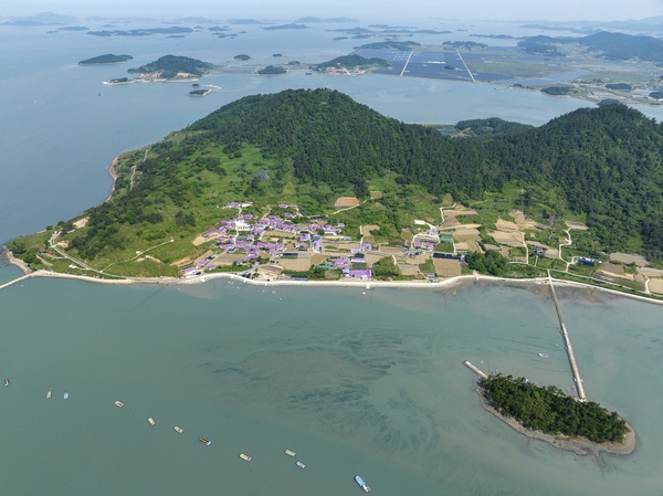 안좌면 퍼플섬 2