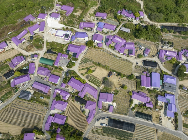 안좌면 퍼플섬 3