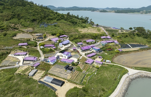 안좌면 퍼플섬 5