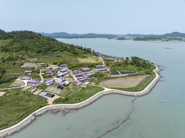 안좌면 퍼플섬 6