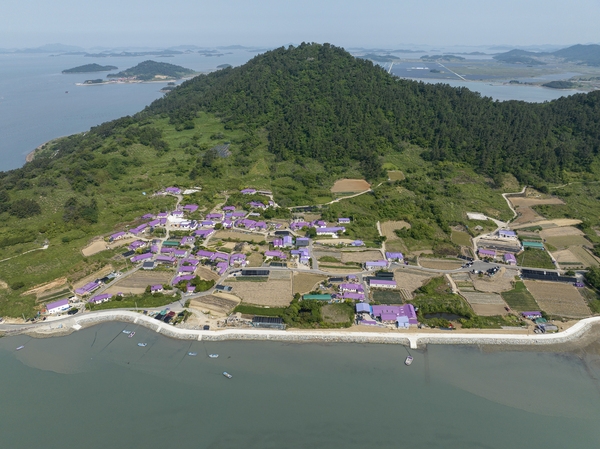 안좌면 퍼플섬 1