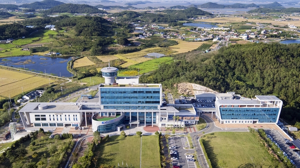 신안군청사가을전경 4