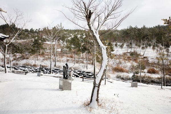 압해 분재공원 - 눈 온 뒤 분재공원 4