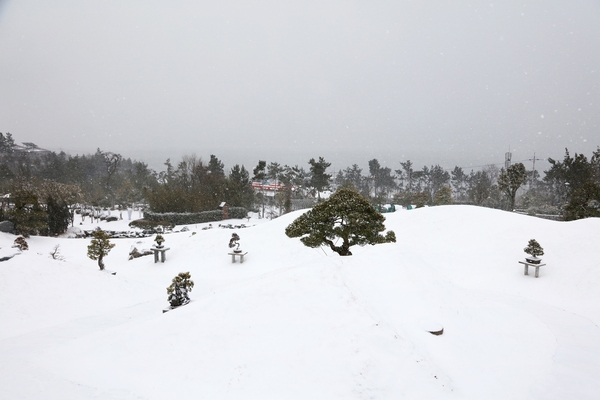 눈 내리는 분재공원 001 2