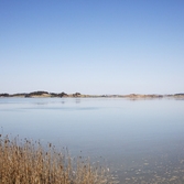 압해 매화도전경 001