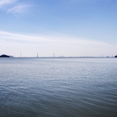 압해 매화도전경 002