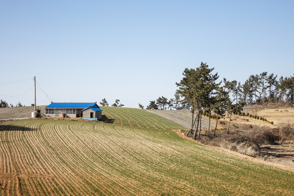 압해 마산도전경 2