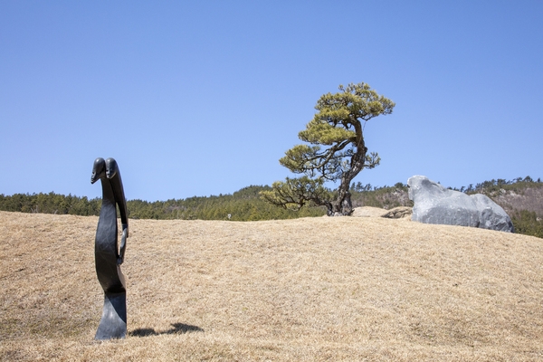 압해 분재공원  5
