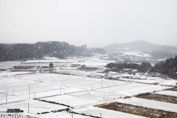 눈 오는 날 압해도 2