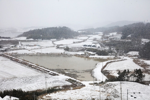 눈 오는 날 압해도 3