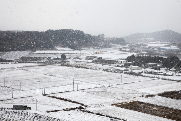 눈 오는 날 압해도 4
