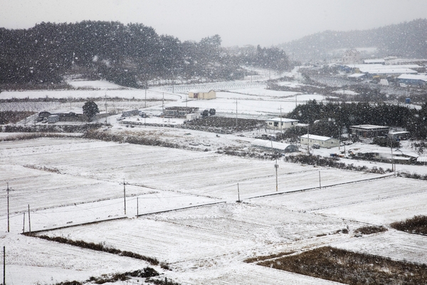 눈 오는 날 압해도 5