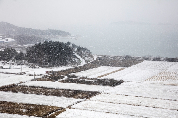 눈 오는 날 압해도 6