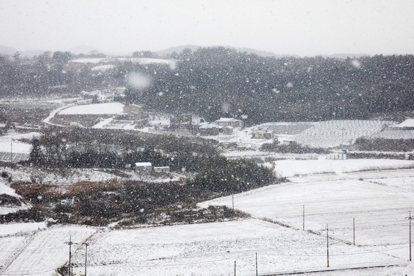 눈 오는 날 압해도 1