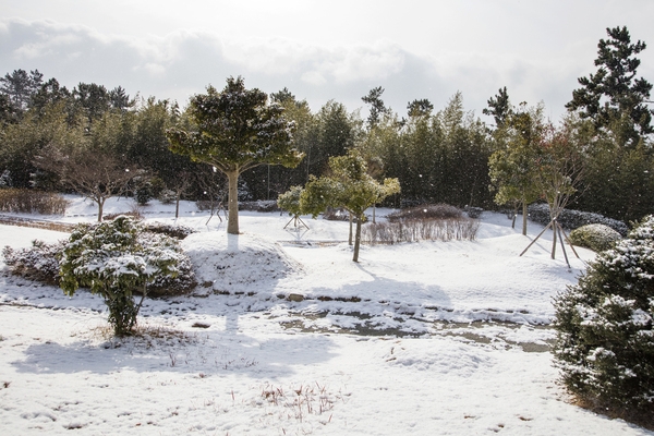 눈 오는 날 분재공원 2