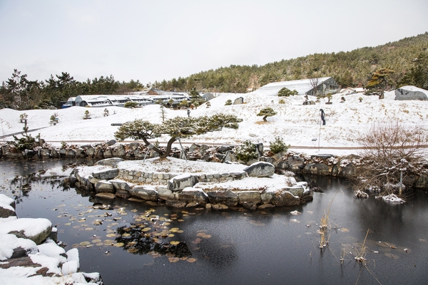 눈 오는 날 분재공원 3
