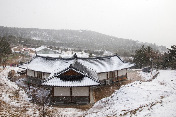 눈 오는 날 분재공원 4
