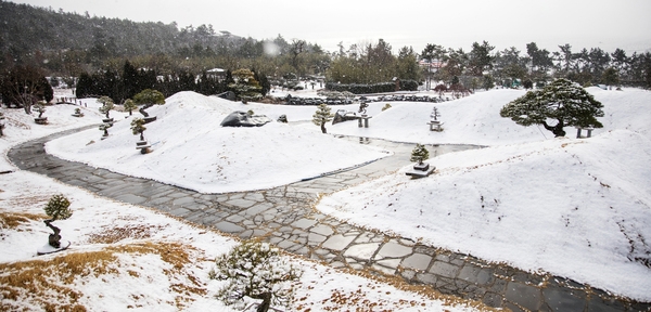 눈 오는 날 분재공원 5