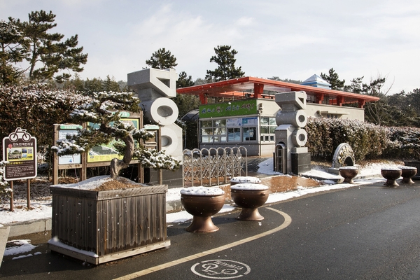 눈 오는 날 분재공원 6