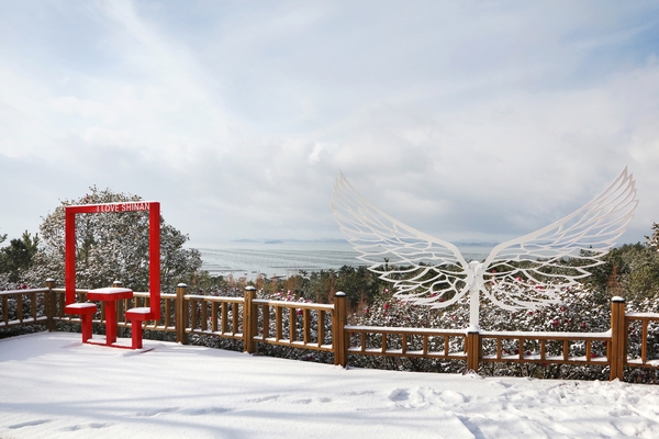 압해읍 눈 오는 날 분재정원 2