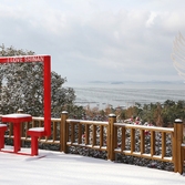 압해읍 눈 오는 날  분재정원