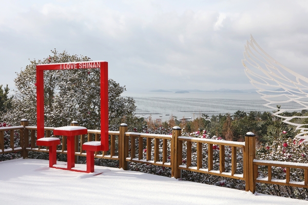 압해읍 눈 오는 날 분재정원 1
