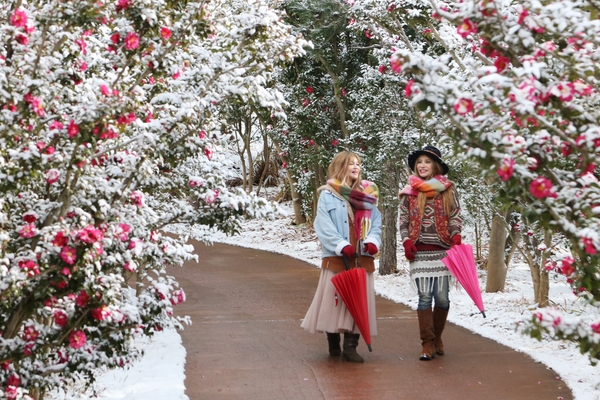 압해읍 눈 오는 날 분재정원 001 3