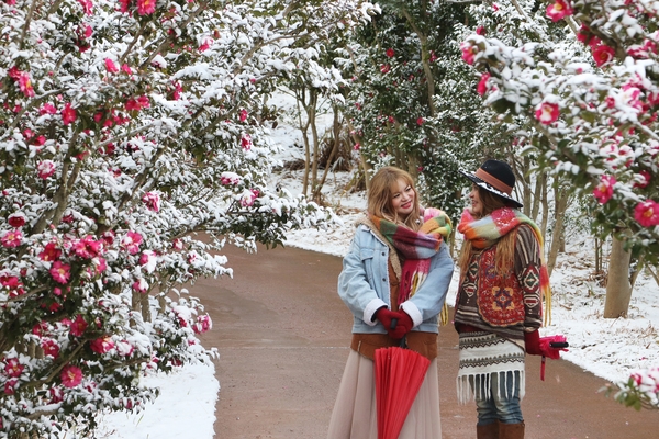 압해읍 눈 오는 날 분재정원 001 1