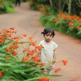 압해읍 분재정원 크로코스미아 002