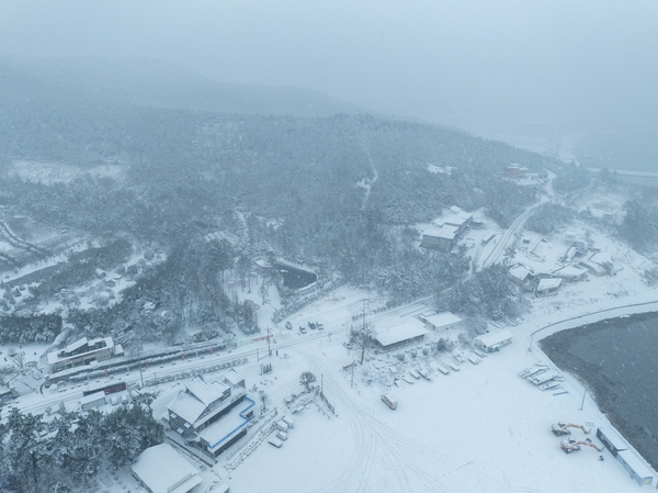 압해읍 1004섬 분재정원 설경 3