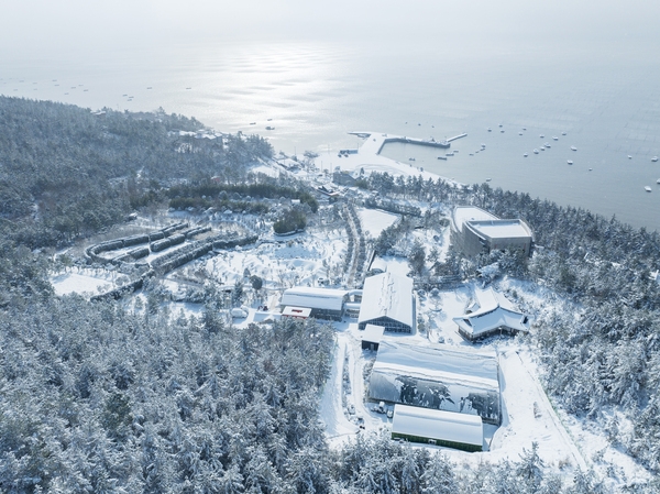 압해읍 1004섬 분재정원 설경 1