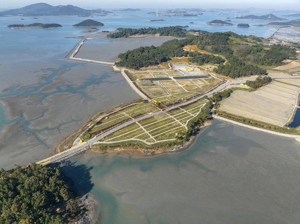 압해읍 고이도 아자니아 003 3