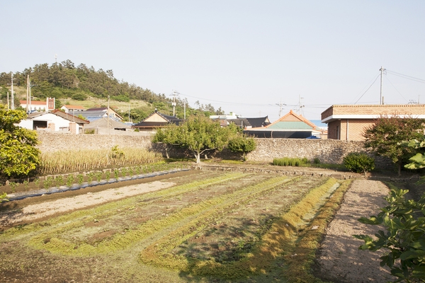 이세돌기념관생가 2