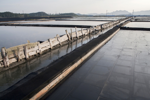 비금 대동염전 2