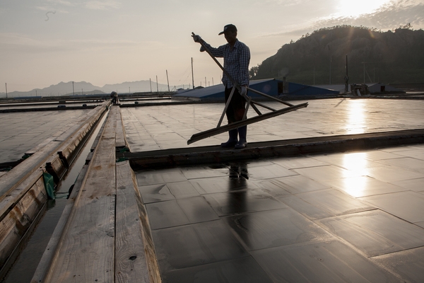 비금 대동염전 3