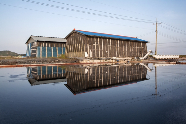 비금 대동염전 1