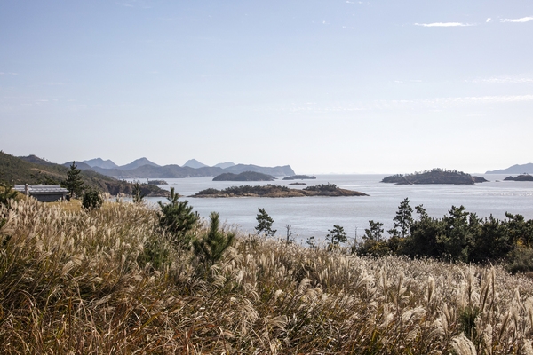 비금 월포해변 4